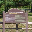직두리 이미지
