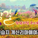 당남리섬 코스모스 만발! 부처울습지길 계신리마애여래입상 여강길 7코스 이미지