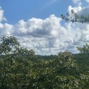 당간지주공원 화장실 이미지