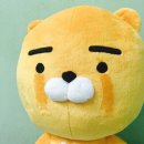 프레이밍 이미지