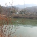 동물소류지 네이버블로그