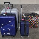 가래울천 | 세부행 대한항공 탑승과 아빠 없이 막탄공항 입국심사 후기