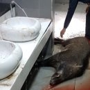 남부도서관 화장실 이미지