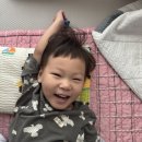 로뎀나무어린이집 | 나 가을 타나 봐