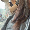 평택 여자 파마 : 길리헤어 레이어드펌 후기 (사진O)