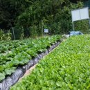 동구농장 이미지