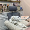 타임 | ［반포 네일］손이 빠른 네일샵, <네일타임> 후기