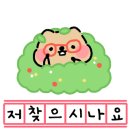 양지동물병원 이미지