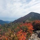 단풍 - 문경시 당교10길 17-3 | 단풍
