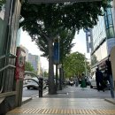 선릉 요가원 마인스요가 후기 - 예약은 오붓 obud에서
