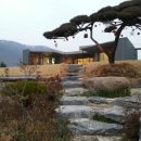 까사누아 이미지