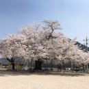 상평현서분교 이미지