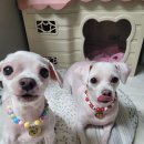 착한개조아 이미지