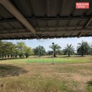 더 프라임시티 | 태국 프라임시티CC 후기 2026년 1월말 라운드