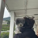 여행 3일차 - 타이베이 :: 린안타이구춰, 단수이, 흑전반점 우육면, 빠리에서 자전거, 홍마오청, 진리...