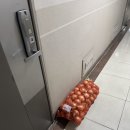 양파 노래연습장 이미지