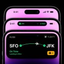 감쪽같이 이미지