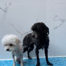 스테이수목 이미지