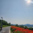 위곡목장 이미지