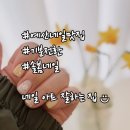 솔봄네일