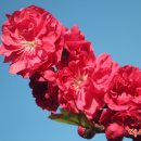 이시돌쉼터 이미지