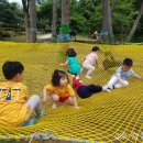 용봉초병설유치원 이미지