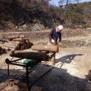 왕촌농산 이미지