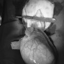 개금동물병원 이미지