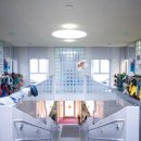 고양이 유치원 이미지