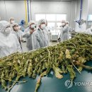 양구군 농산물가공지원센터 연합뉴스