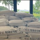 명인막국수 이미지