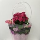 아울렛 디씨(DC) 마트 이미지