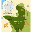 아프리카 케냐 탄자니아여행 모시 챔카온천 킬리만자로산 아루샤 세렝게티 응고롱고로