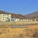 목천 Daum카페