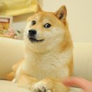 이밤에취해 이미지