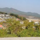 금장2리 이미지