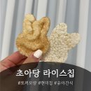 토끼발 | 초아당 토끼모양 현미 라이스칩 후기!