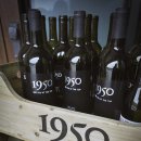 제주시 조천읍 / 와인가게 ] 제주감귤로 만든 1950와인_&#39;제주 양조장&#39; 방문후기 ( 제주 와인샵, 감귤...