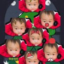 통통이네 이미지