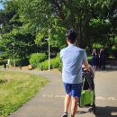 도시농업으로 힐링하기 이미지