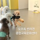 오프독 반려견 종합교육문화센터 | 양산 애견유치원, 애견호텔 솔직 후기 : n번째 재방문