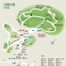 5월의 보성녹차밭 대한다원, 싱그러운 초록빛 세상으로의 초대 인생샷