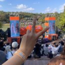 [241102] 그랜드 민트 페스티벌 2024 DAY3 후기 / 글렌체크 팬밋업 당첨!