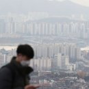 강남-005 이미지