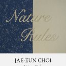 서울 삼청동 4월 무료 전시회 최재은 개인전 Nature Rules 자연국가 후기 @ 국제갤러리