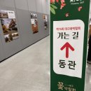 대구 이번주 가볼만한 곳, 엑스코 제15회 대구꽃박람회 방문후기! (~6/8까지)