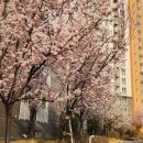 마장소반 네이버블로그
