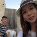 제주일상 이미지