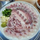 청하회물회 | 신서혁신도시맛집 청하회물회, 맛있는 밀치회 먹을 수 있는 대구동구횟집