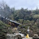 청년부대찌개닭갈비보성점 이미지